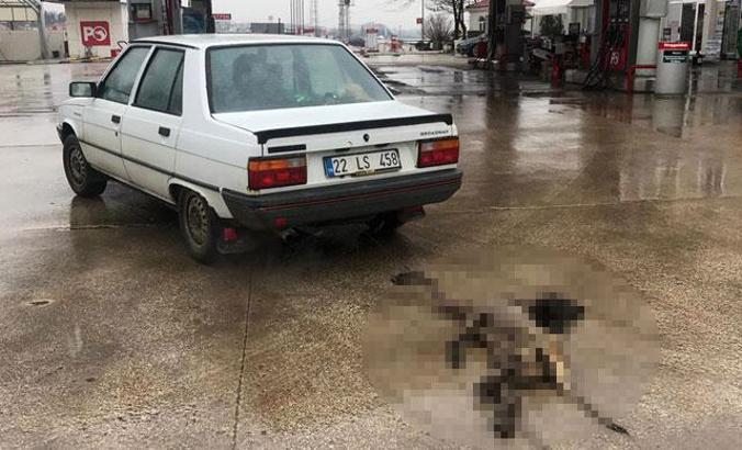 Köpeği otomobilin arkasına iple bağlayıp, kilometrelerce sürükledi