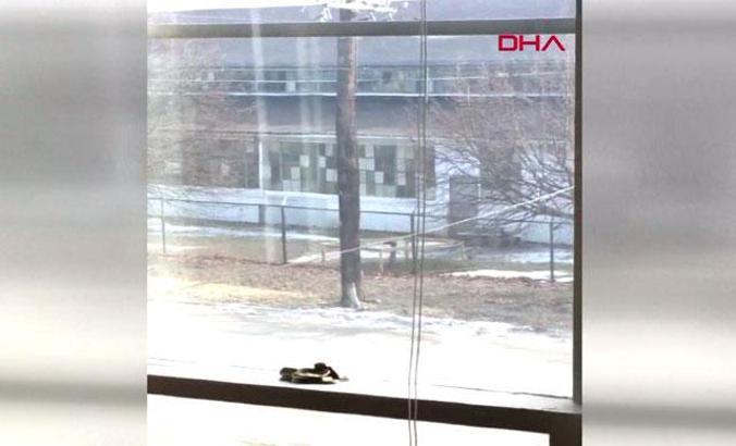 ABD’de iş yerine silahlı saldırı: 5 ölü