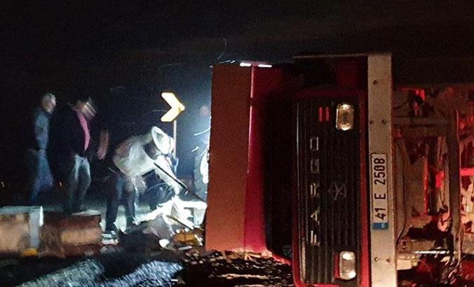 Arı kovanı yüklü kamyon devrildi, binlerce arı paniğe neden oldu