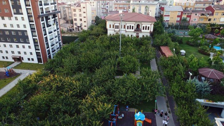 Bağcılar, Millet Bahçesi’yle yeni yeşil yaşam alanına kavuşuyor