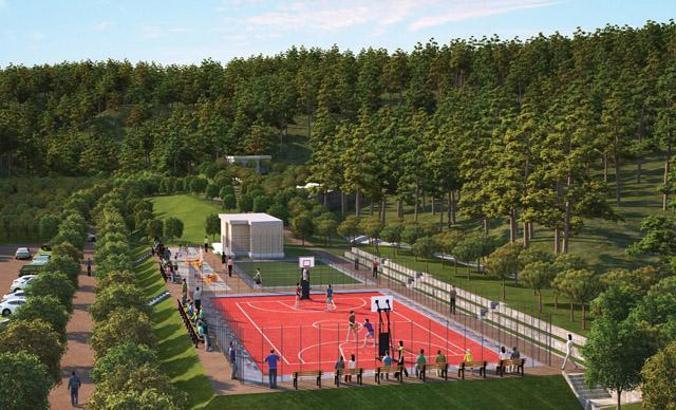 Her İstanbullu’nun bir dikili ağacı olacak