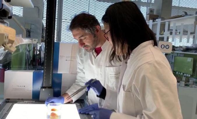 Almanya Türk doktoru konuşuyor, 3 boyutlu yazıcılarla ‘yapay organ’ geliştiriyor