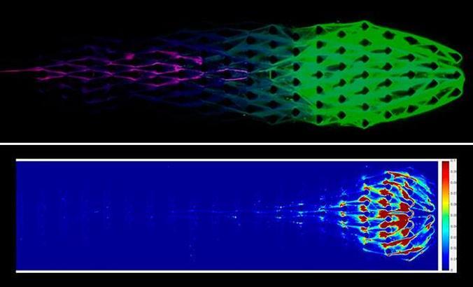Skynet gerçek mi oluyor? Bilim insanları canlıya benzer robotlar üretti
