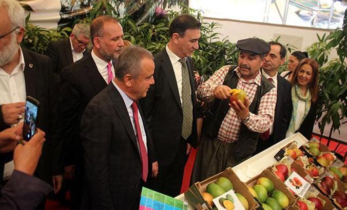 Yerli mango üreticiye tanıtıldı