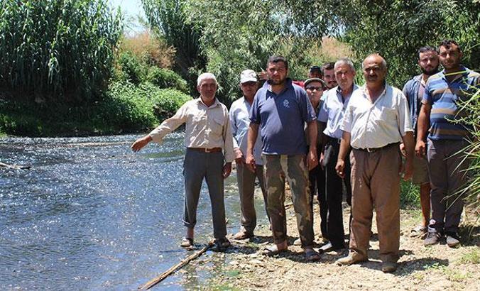 Çiftçilerden Küçük Menderes'te 'kirlilik' tepkisi