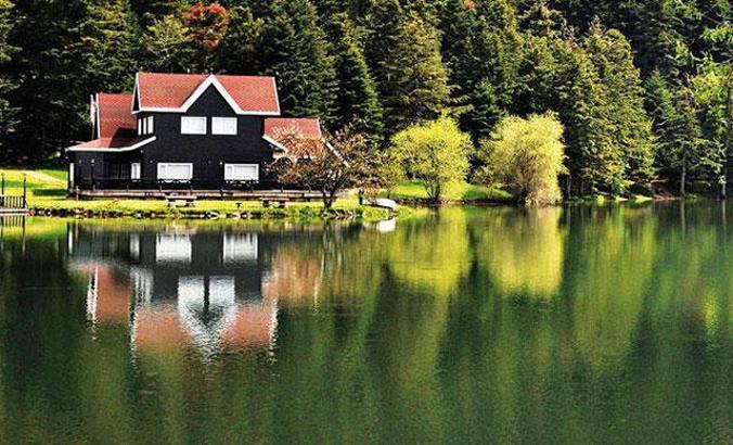 Mahkemeden Gölcük için nihai karar: Bungalovlar kalksın, kızıl geyik, kurt, tilki sansar, gelincik yaşasın