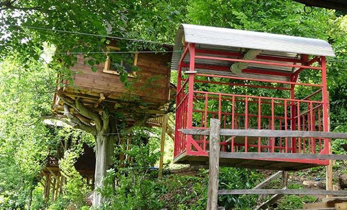 Rize'de ağaç eve 500 metrelik teleferikle ulaşılıyor