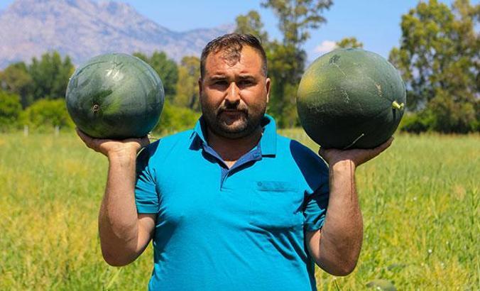 500 ton karpuz elinde kalan çiftçi: Bu yıl da evde kaldım