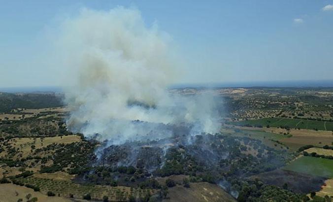 Ezine’de zeytinlik ve ot yangını