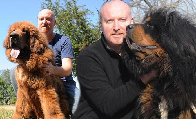 Servet değerindeki köpekler yetiştirilip yurt dışına satılıyor