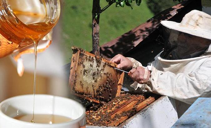 Anzer balının kilosu bin lira; sipariş yağıyor