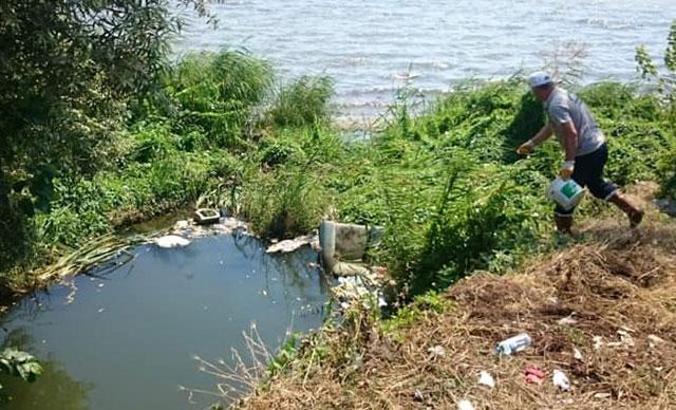 İBB'den Avcılar'daki 'Batı Nil Virüsü' ile ilgili açıklama