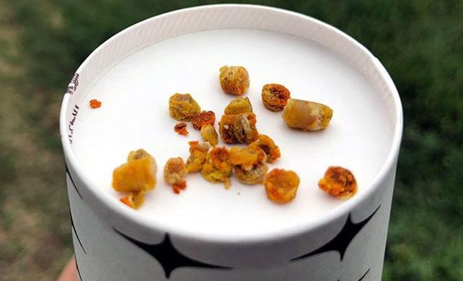 Arı ekmeği, sentetik vitaminlerin yerini almaya başladı