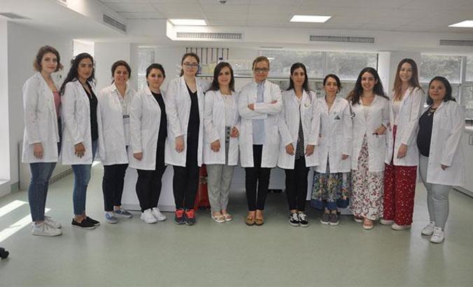 Klonlama yöntemi ile bir yapraktan binlerce ağaç üretiliyor