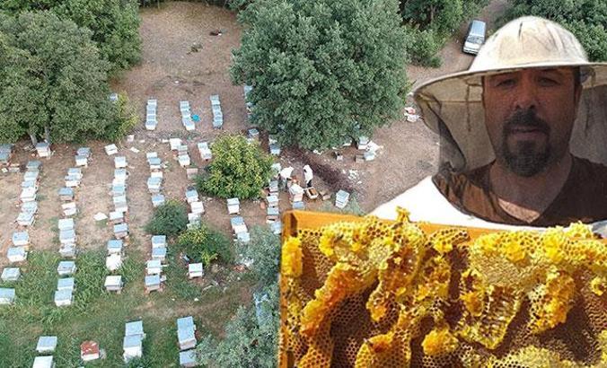 Edirne'de bal hasadı başladı