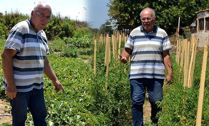 6 ayda 300 farklı yerli tohum elde edildi