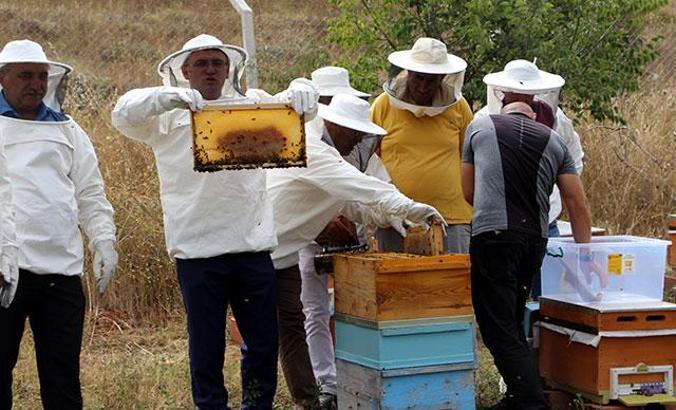 Tokat'ta haziran yağmurları, bal üretimini etkiledi