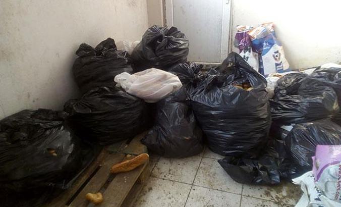 Diyarbakır'daki hayvan ölümleri yargıya taşındı