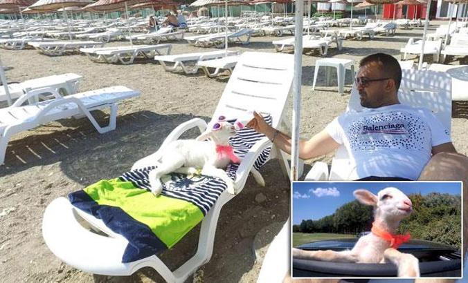 Denize götürdüğü kuzusuna doğum günü yaptı