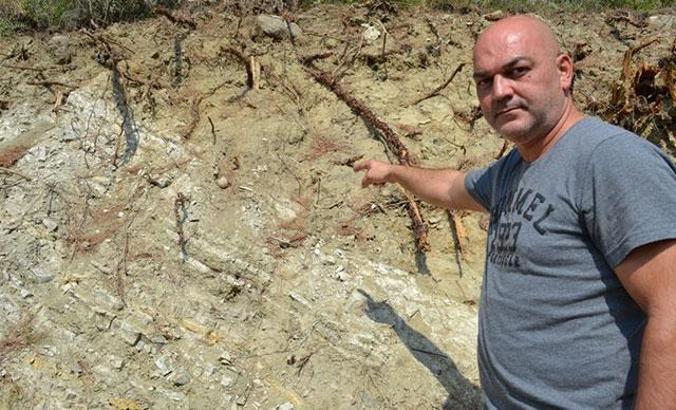 Bigadiç'te yol kenarında çok sayıda kemik ortaya çıktı