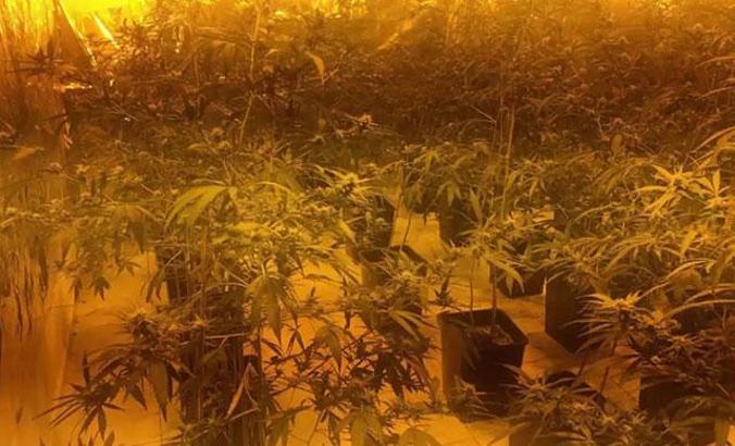 İzmir'de uyuşturucu operasyonu