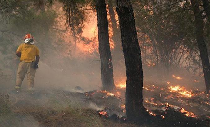 2019'da 3 bin 192 hektar orman yandı