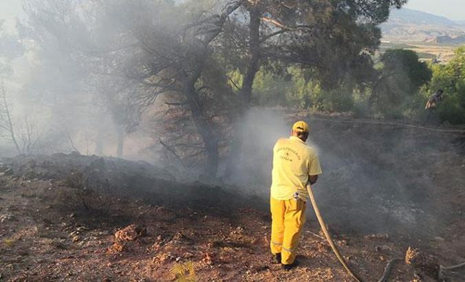 Eskişehir’de orman yangını erken müdahaleyle söndürüldü