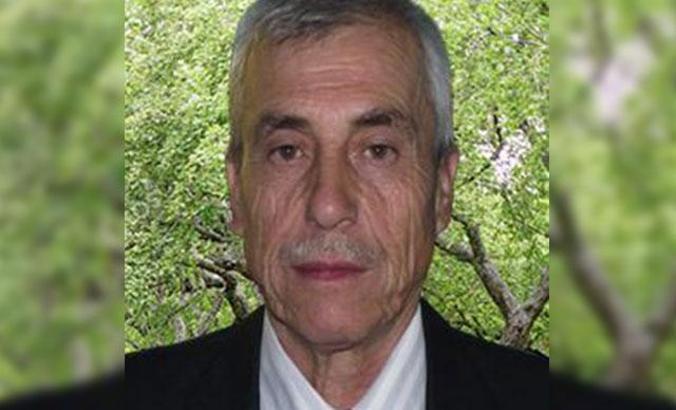 Arı sokması sonucu öldü