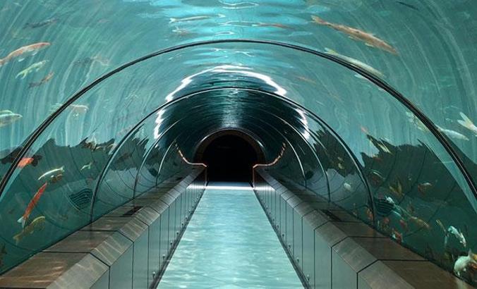 Bursa'daki tünel akvaryuma ilgi