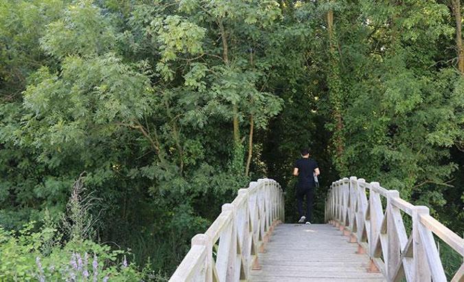 Sadece bilim insanlarının girebildiği orman, projeyle gezilecek