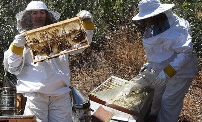 Kadın arıcının azmi, çevresine örnek oldu