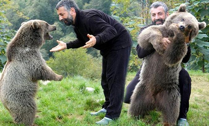 Popülasyonu artan ayılar için 'avlansın' çağrısı