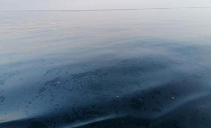 Foça'da denizde paniğe neden olan görüntü