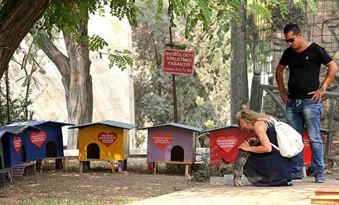 Tarihi Saat Kulesi'nin yanındaki kedi evleri kaldırıldı