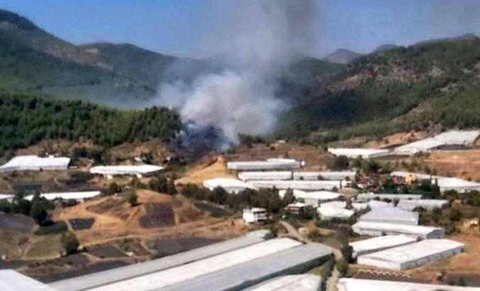 Anamur'da orman yangını