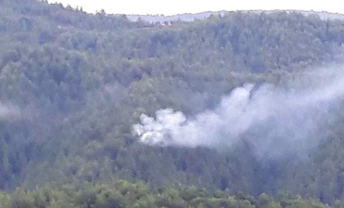 Manavgat'ta yıldırım düşen ormanda yangın