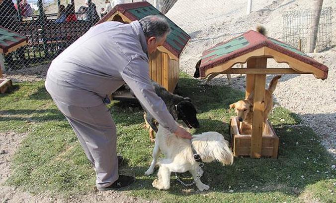 Kayadan oyma mağaralar, hayvan barınağına dönüştürüldü