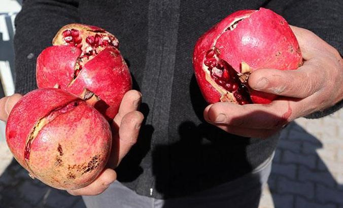 'Kimyasallar narın kabuğundan içine geçebilir'