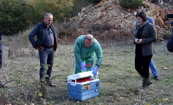Çan'da ölü bulunan hayvanlarla ilgili inceleme ve soruşturma