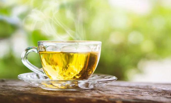 Prof. Dr. Erdem Yeşilada: Antibiyotik kullanırken yeşil çay için