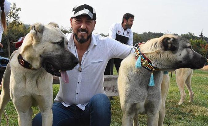İzmir'de 'Türk Çoban Köpekleri Irk Standartları Yarışması'