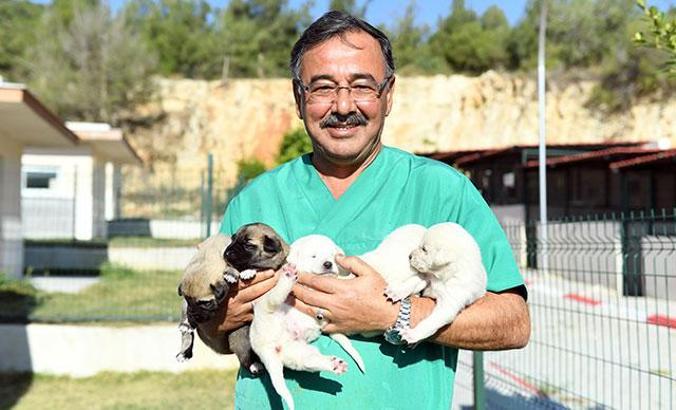 Yavru köpekleri, ağzı bağlı çuval içinde ormana bırakmışlar