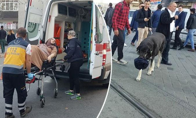 Taksim'de aynı köpek yine ısırdı