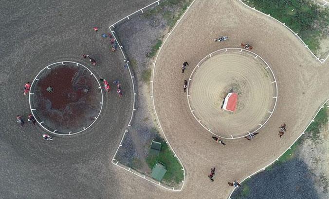 Milyonluk safkanlar, binlerce kişiye istihdam sağlıyor