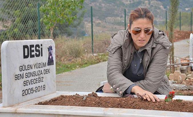 Deniz manzaralı Hayvan Mezarlığı