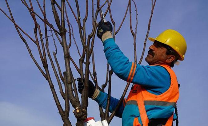 Başakşehir’de okul ve camilerde bakım zamanı