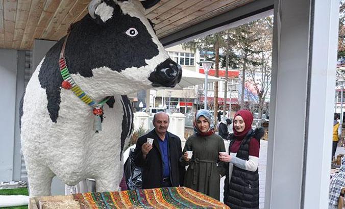 Gümüşhane'de 'akıllı inek’ projesine ilgi