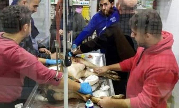 Silahla vurulan gebe dağ keçisi kurtarılamadı