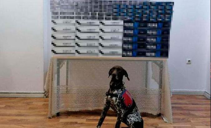 Bitlis’te TIR'larda 5 bin paket kaçak sigara ele geçirildi