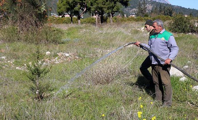 Prof. Dr. Turna: Fidanların kuruduğu iddiası gerçek değil